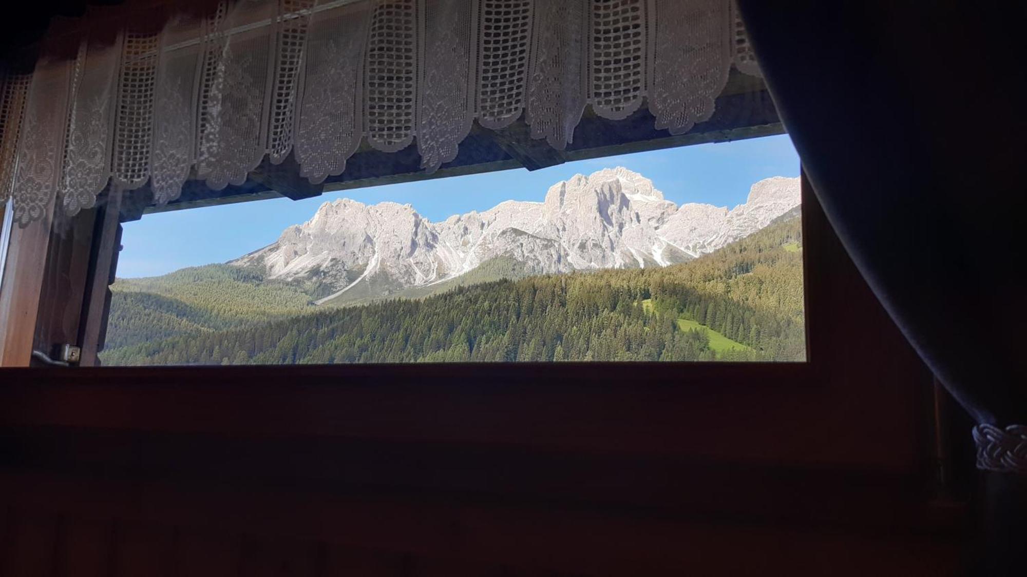 La Pineta Apartment Padola Luaran gambar